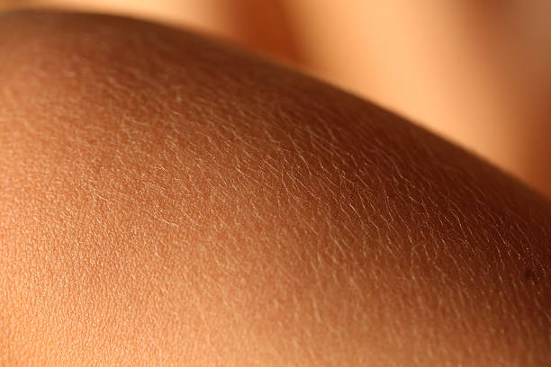 istock Human Skin - part of a body 497984100