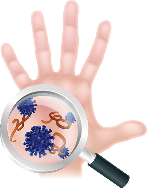 ilustrações, clipart, desenhos animados e ícones de lupa mão bactérias conceito de vírus - staphylococcus aureus resistente à meticilina