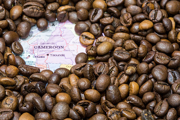 istock Map of Cameroon under a background of coffee beans 497985576