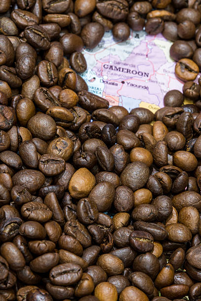 istock Map of Cameroon under a background of coffee beans 497987152