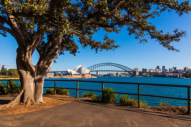 , sydney australia miasta. nsw - sydney australia sydney harbor bridge opera house sydney opera house zdjęcia i obrazy z banku zdjęć