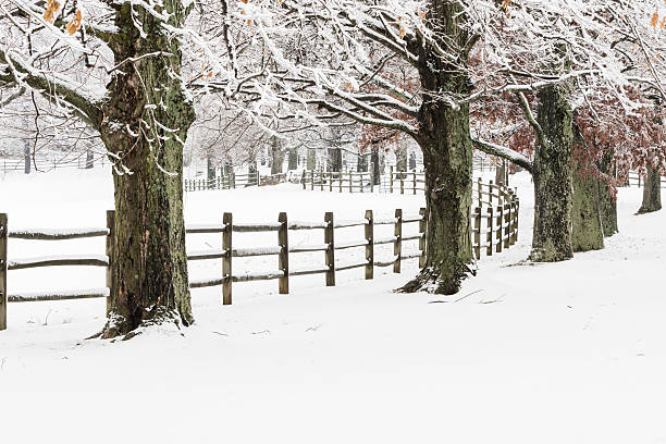 istock XXXL: Snow covered fence and trees next to a field 497988700