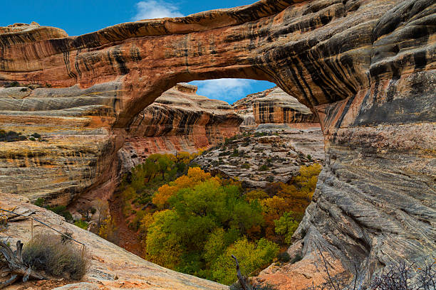 istock Natural Bridges National Monument, Utah 497989782