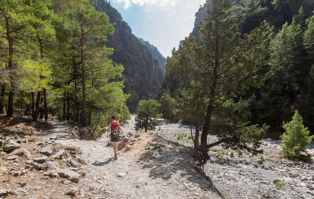 istock Footpath in the Samaria Gorge, Crete 497991586