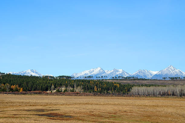 istock blue sky over the vast steppes,, mountains covered with snow, 497993002