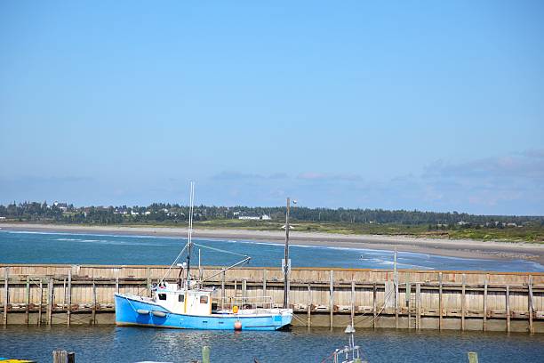 istock Fishing boat at a wharf beach in background 497993112