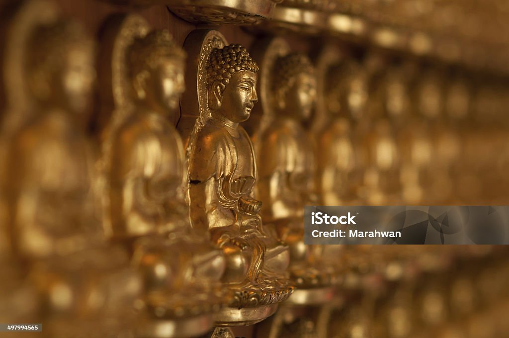 ten thousand goldenen buddhas Futter bis an die Wand - Lizenzfrei Arrangieren Stock-Foto