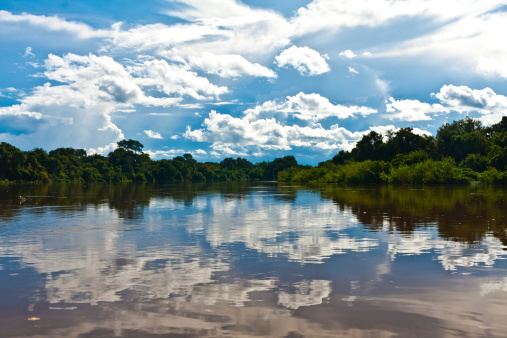 River with reflection of the sky in the Pantanal - MT
