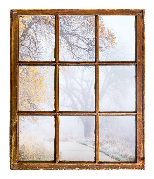 istock foggy autumn scene 497994960