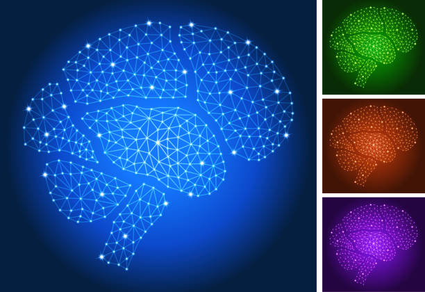 Visual Cortex Cartoon Images Visuele Cortex Illustraties en vectorbeelden - iStock
