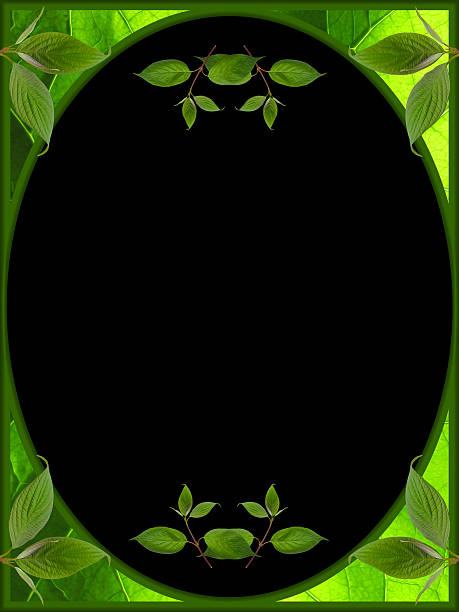 istock frame of leaves on black background 497996884