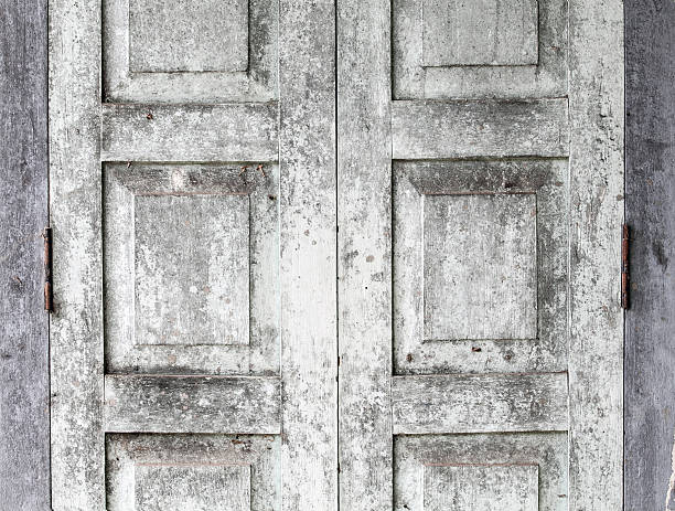 istock antique wooden white door old texture 497998383