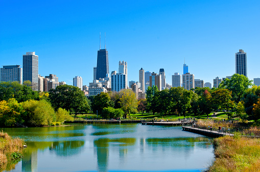 South pond by Lincoln Park ZOO In Chicago. This location is tourist favorite and offers great skyline views of the city.