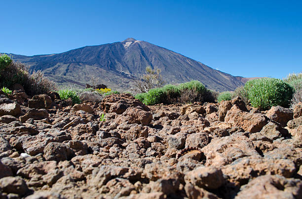 el teide vulkan von teneriffa, spanien - el teide national park stock-fotos und bilder