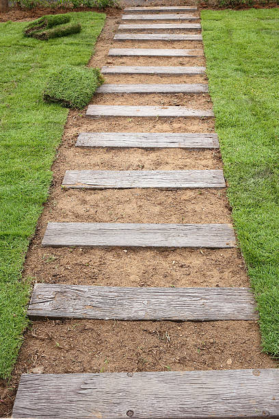 istock planting new sod grass in the garden 498011249