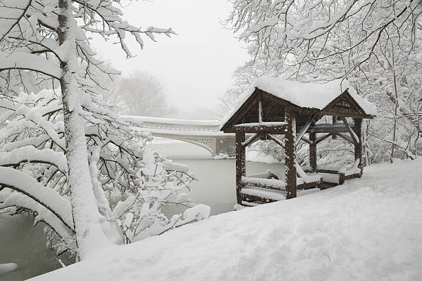 istock Central Park Bow Bridge after heavy snow, New York City 498014096