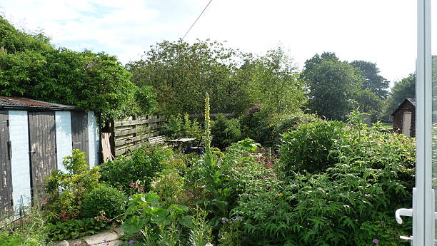 istock Garden from the back door 498014426