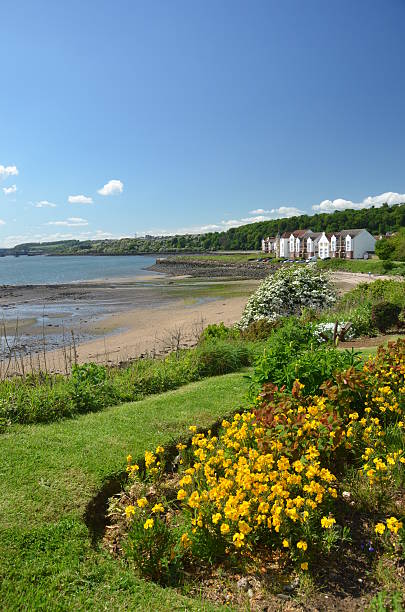 istock View of St. Davids Bay 498014835