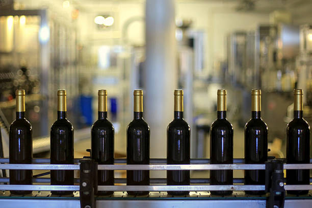 produzione di vini - bottling plant winemaking wine factory foto e immagini stock
