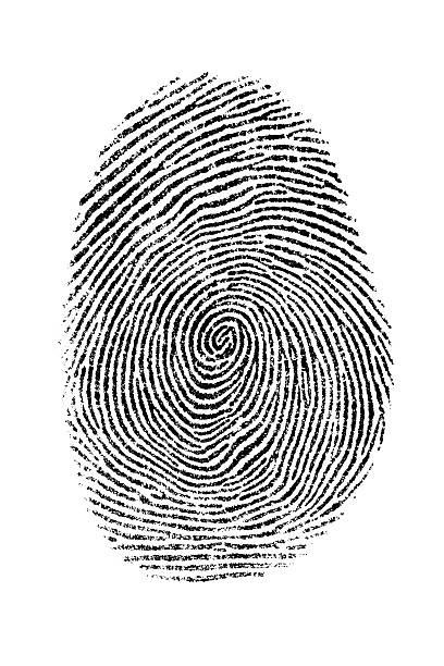 Fingerprint Scanned black and white fingerprint. criminal identifity and police themes. serial killings photos stock pictures, royalty-free photos & images