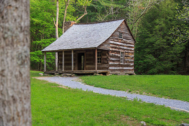 istock Log Cabin in the Woods 498015139