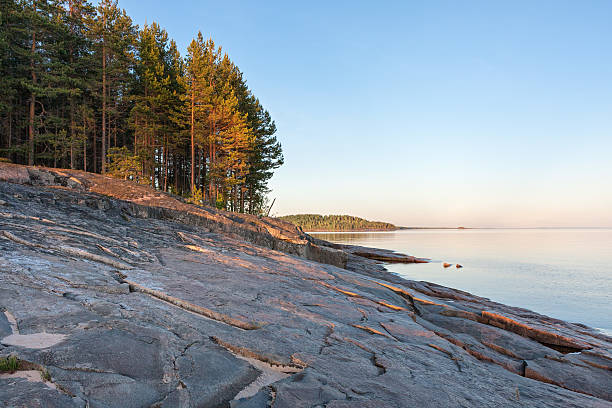 istock Onega Lake granite shore with pines at midnight sun 498015361