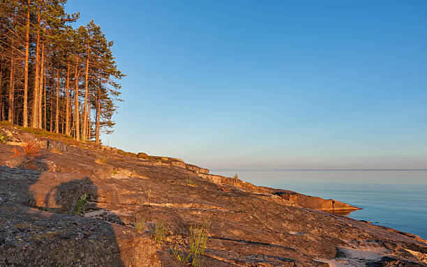 istock Onega Lake granite shore with pines at midnight sun 498015393