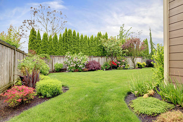 House exterior with landscape Fenced backyard. View of lawn and  blooming flower beds yard grounds stock pictures, royalty-free photos & images