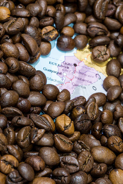 istock Map of Ecuador under a background of coffee beans 498015792
