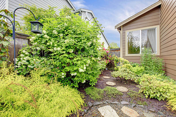 istock House exterior with landscape 498015967