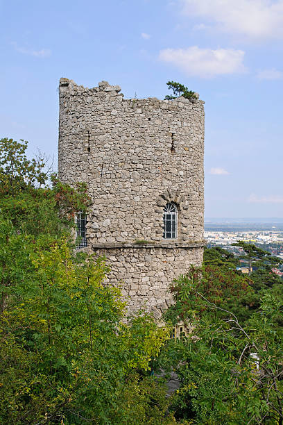 Black Tower , Modling, Lower Austria, Austria. Black Tower (Schwarzer Turm), Moedling, Lower Austria, Austria. The Black Tower, built in the Romantic era is an artificial ruin in the Vienna Woods near Modling, Lower Austria vienna woods stock pictures, royalty-free photos & images