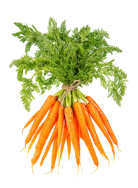 свежие морковь с зеленой пробками изолирован на белом - carrot isolated white carotene стоковые фото и изображения