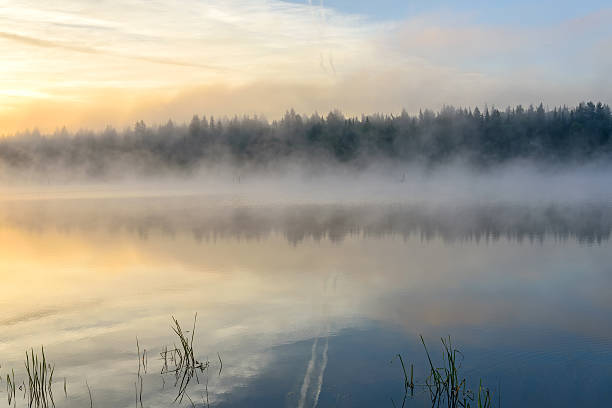 istock lake sunrise fog sun mist 498018408