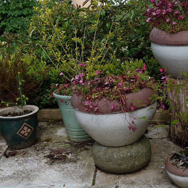 istock Views of a patio 498018510