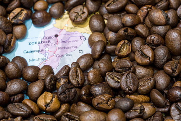 istock Map of Ecuador under a background of coffee beans 498019050