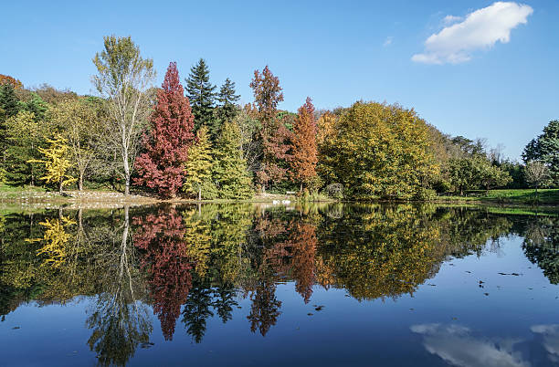 istock reflection of autumn trees on lake 498019902