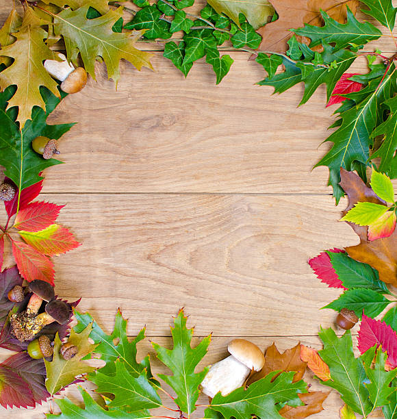 istock Autumn background with mushrooms 498025300