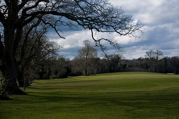 istock Brilliant day on a pasture in Ireland. 498027001