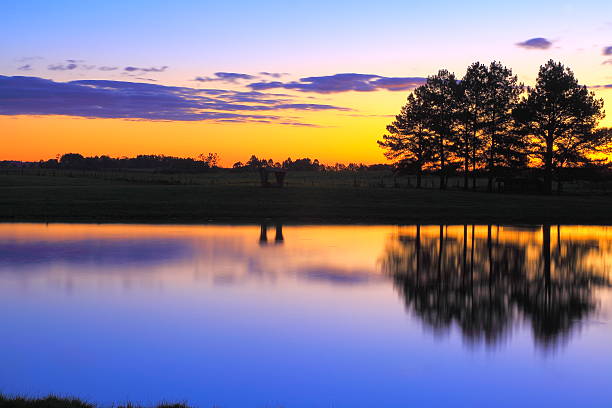 穏やかな夕日とレイクリフレクション-ミナミブラジル、南アメリカ - cowboy blue meadow horizontal ストックフォトと画像