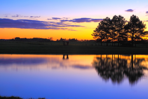 Please, you can see in the link below Landscapes of southern Brazil, border with Uruguay and Argentina: beautiful pampa gaucho, fields, sunsets, sunrises, canyons, estancias (ranch, farms) and much more!!