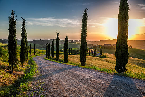 coucher du soleil et la route sinueuse et de cyprès en toscane - tuscany landscape italy siena photos et images de collection