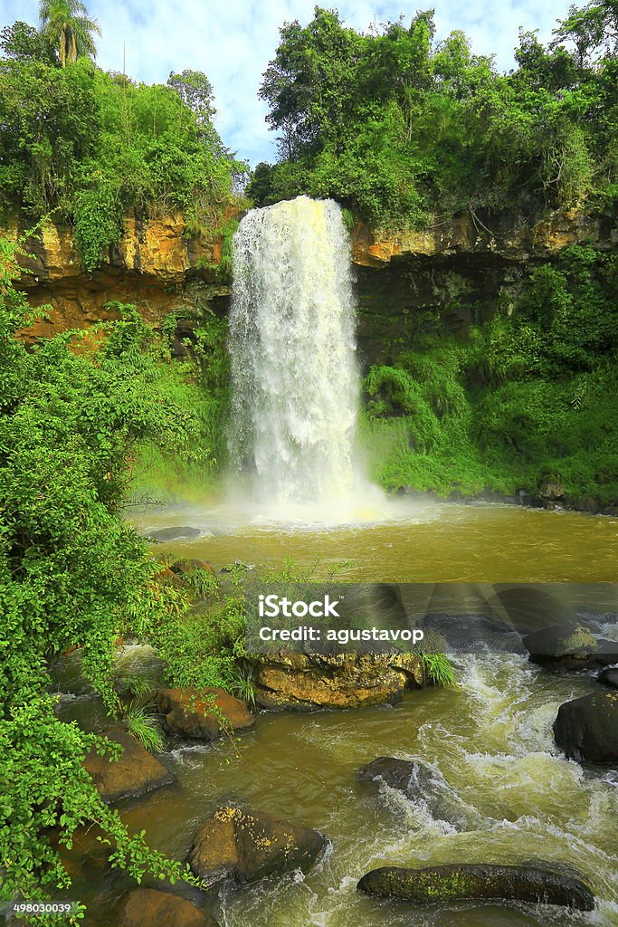 Wasserfall im grünen Regenwald -Iguacu Falls, Argentinien, Südamerika - Lizenzfrei Abenteuer Stock-Foto