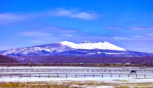 istock Mt.Tarumae and winter pasture 498030835