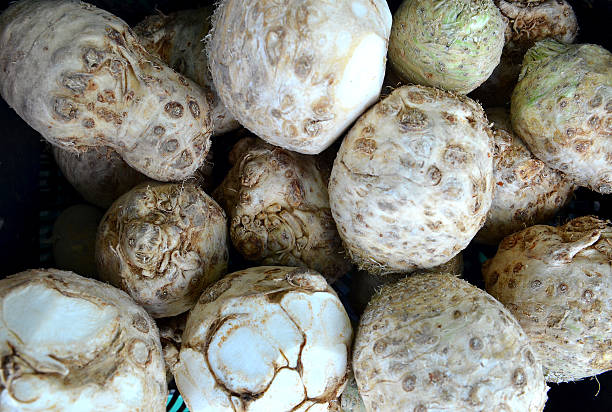 istock Organic celery root and leaves fresh from the farm. Background 498033101
