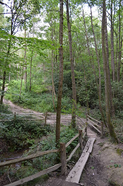 istock Woodland creek with rustic bridge. 498033505