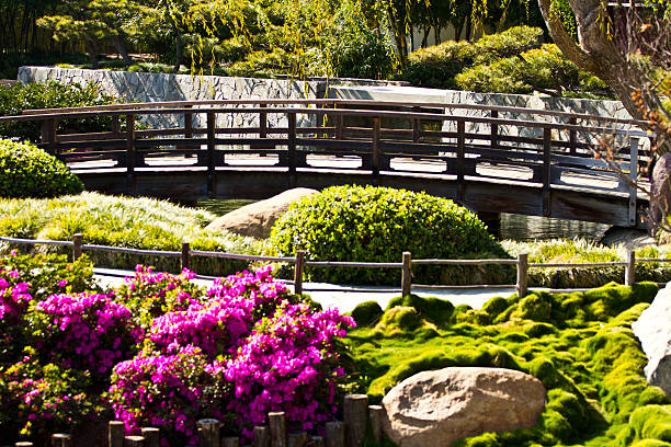 Japanese Garden with a lake and an bridge