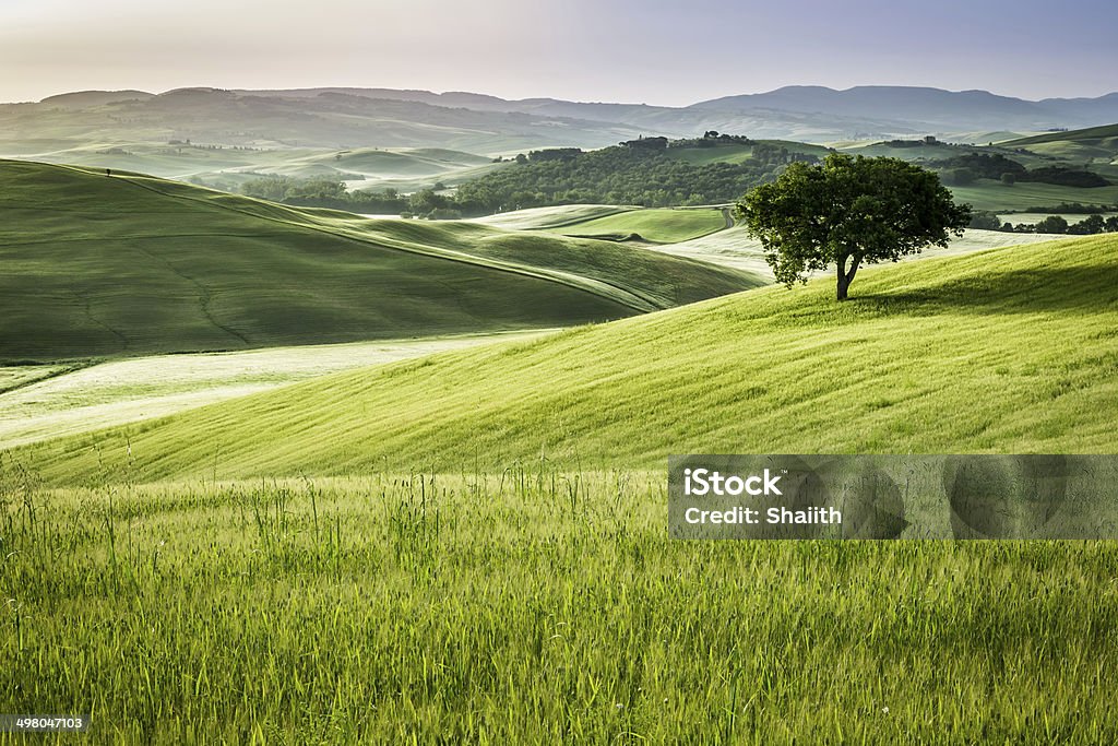 Sonnenaufgang über dem grünen Rasen in der Toskana - Lizenzfrei Hügellandschaft Stock-Foto