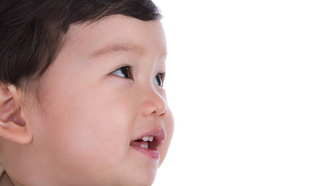 istock portrait of boy looking up isolated on white background 498049967