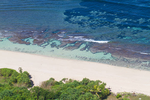 istock Ocean and sandy beach on a sunny day. 498050561