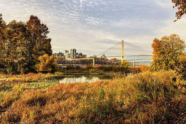 istock Beautiful autumn landscape 498051154